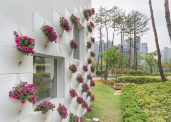 He makes weird-looking holes on apartment walls, but when it rains, it’s enchanting!