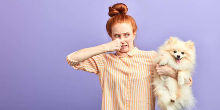 After spending thousands owner discovers why dog kept dropping stinky farts