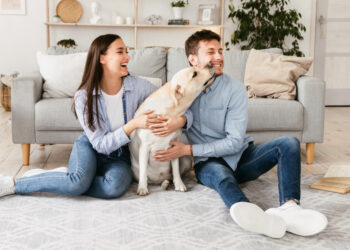 Do Dogs Smell Our Emotions? Read On to Find Out