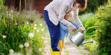 When should I water my plants in the summer?