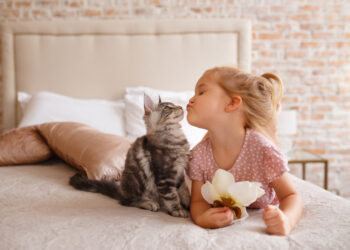 Cat love