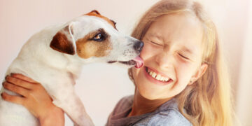 Why do dogs lick people?